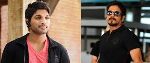 nagarjuna,allu arjun,telugu cinema,big b,piku,deepika,kamal haasan  నాగ్, బన్నీ ల కే ఆ ఛాన్స్..!!